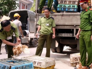 Lào Cai: Ráo riết chống thực phẩm bẩn nhập lậu