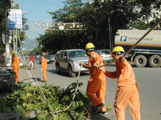 Công ty Điện lực Quảng Nam: Dân vận để… chặt cây, tỉa cành