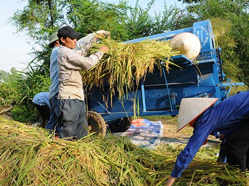 Hướng cho XK nông sản: Đẩy giá và tăng lượng