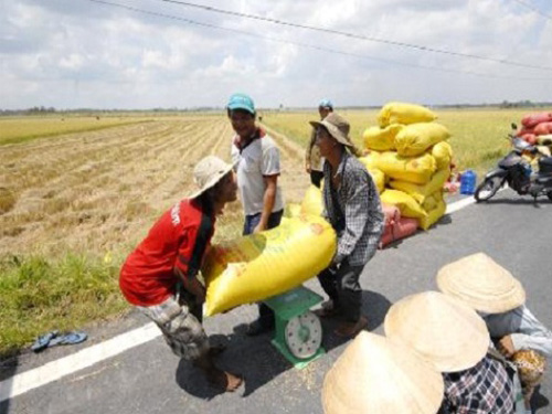 Thương mại Việt Nam