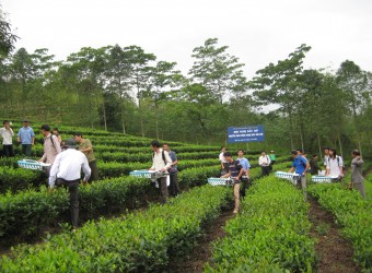 Yên Bái: Đưa công nghiệp trở thành ngành kinh tế mũi nhọn