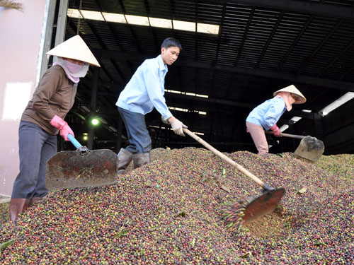 Nên thay cấm bằng thuế