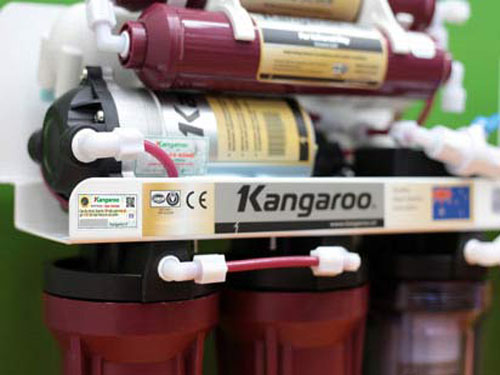 Máy lọc nước Kangaroo Loại bỏ “vi khuẩn ăn thịt người”