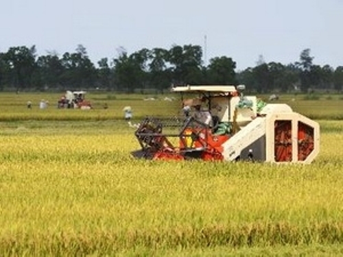 Việt Nam hỗ trợ CH Tchad phát triển nông nghiệp