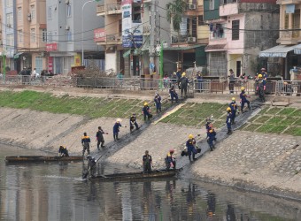 Cải thiện môi trường và quản lý nhà nước