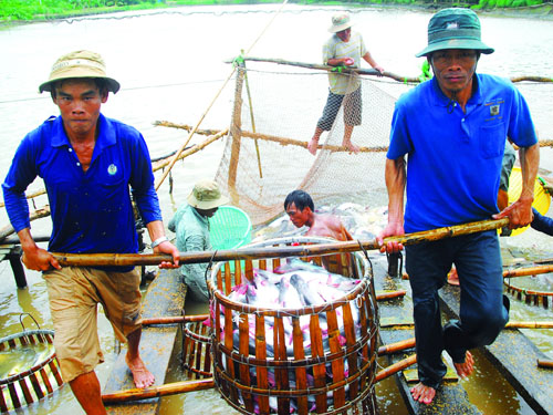 Xuất khẩu thủy sản: Chưa thoát “tai ương”