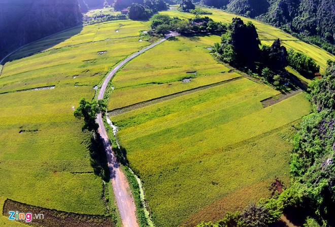 Nhập mô tả cho ảnh