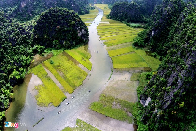 Nhập mô tả cho ảnh