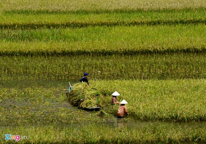 Nhập mô tả cho ảnh