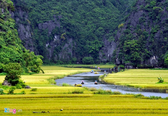 Nhập mô tả cho ảnh