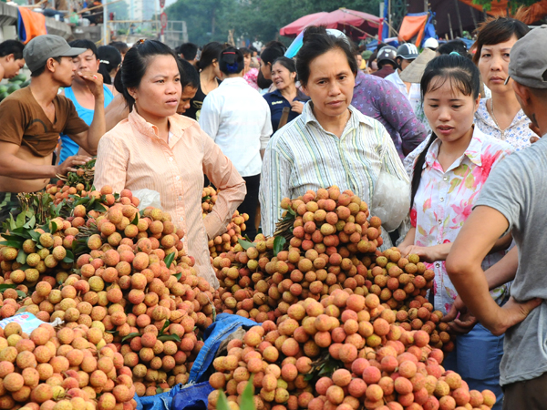 Ứng phó ngay, tìm &quot;lối thoát&quot; cho xuất khẩu nông sản!