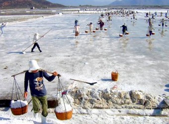 Nghịch lý: Thừa muối ăn, thiếu muối công nghiệp