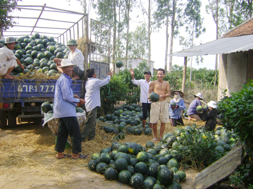 Xuất khẩu nông sản cần tránh phụ thuộc vào 1 thị trường