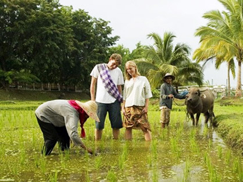 Homestay tại Hội An đang ngày càng được du khách ưa chuộng