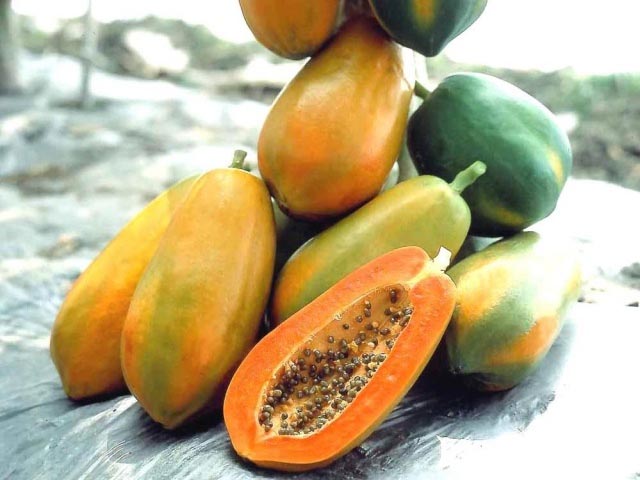 Nhiều hoa quả càng tươi, ngon đẹp thì càng độc. Ảnh minh hoạ