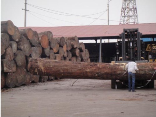 Nhập khẩu gỗ nguyên liệu sẽ giảm