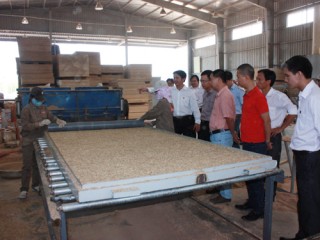 Tăng mức hỗ trợ cho xây dựng mô hình trình diễn kỹ thuật