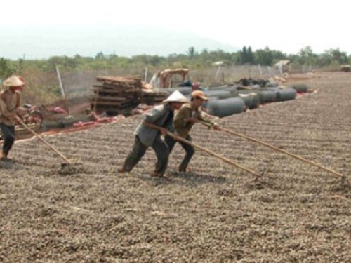 Xuất siêu khủng vào Mỹ, EU