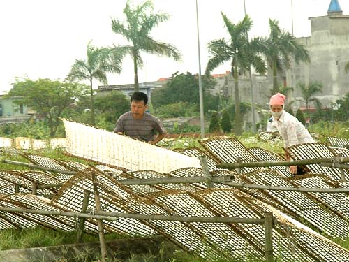 Bến Tre: Hỗ trợ phát triển làng nghề