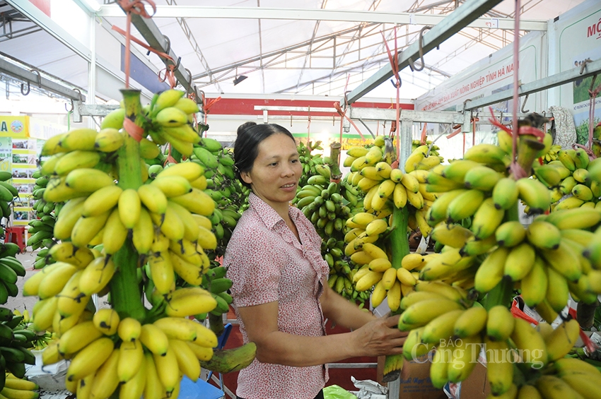 Bộ Công Thương: 