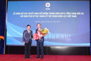 EVN có tân Tổng giám đốc