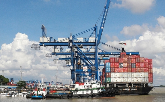 cac hang tau can thuc hien nghiem tuc quy dinh ve gia cuoc van chuyen container
