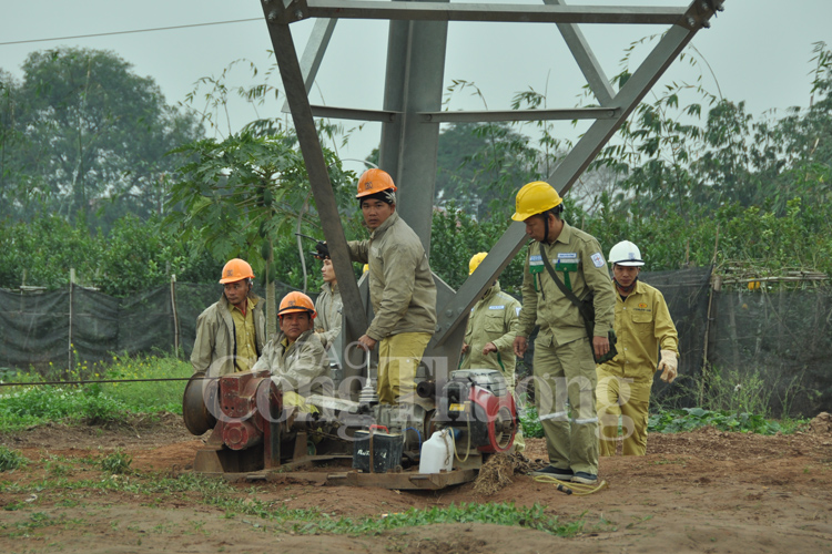 EVNNPT đẩy mạnh đấu thầu qua mạng