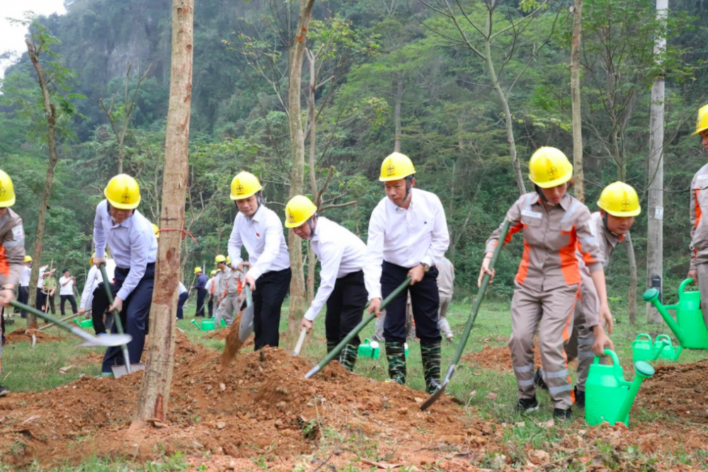 Tổng công ty Điện lực miền Bắc hưởng ứng Lễ trồng cây trên các “Con đường du lịch hoài niệm các di tích Quốc gia”