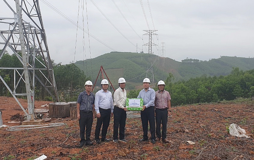 CPMB: Đẩy nhanh tiến độ đường dây 500kV Dốc Sỏi – Pleiku 2