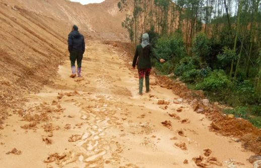 Hộp thư ngày 5/7: Giao đất cho doanh nghiệp trái thẩm quyền tại Tam Nông