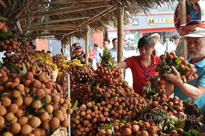 san sang cac phuong an de xuc tien tieu thu vai thieu nam 2020