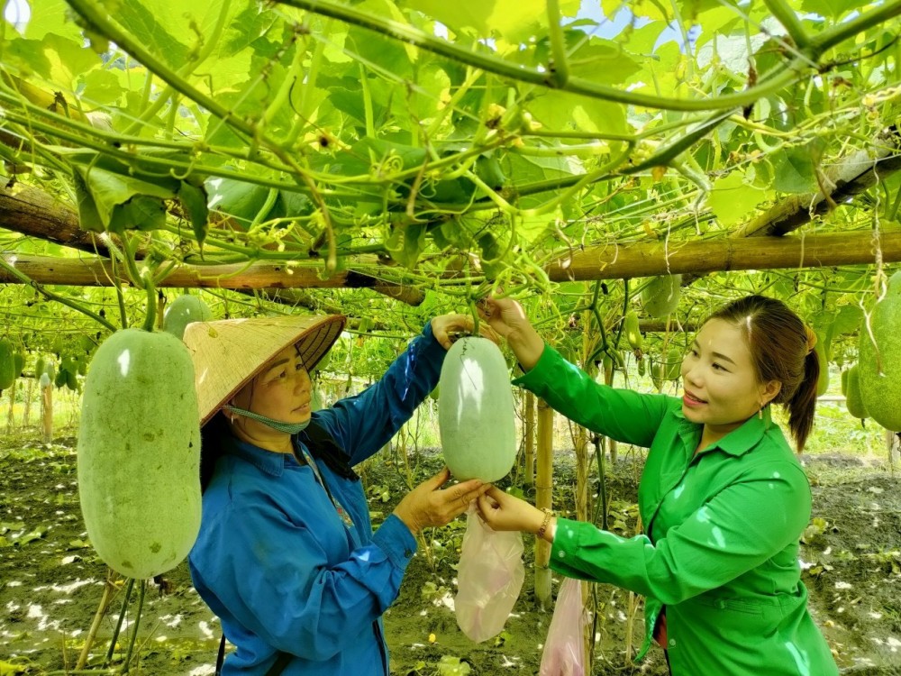 Bắc Giang, Sơn La, Hưng Yên đẩy mạnh tiêu thụ nông sản qua thương mại điện tử