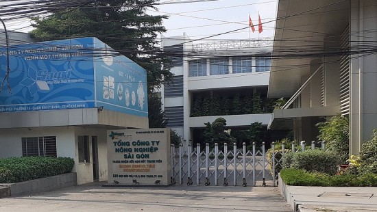 thanh uy tpho chi minh ky luat khai tru khoi dang nhieu can bo dang vien vi pham