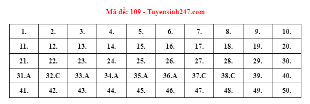 Đáp án đầy đủ 24 mã đề thi môn Toán kỳ thi tốt nghiệp THPT năm 2022