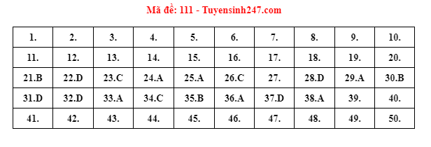 Đáp án đầy đủ 24 mã đề thi môn Toán kỳ thi tốt nghiệp THPT năm 2022