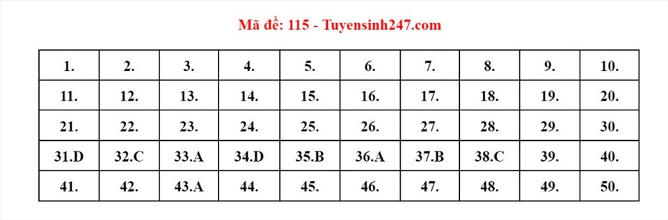 Đáp án đầy đủ 24 mã đề thi môn Toán kỳ thi tốt nghiệp THPT năm 2022