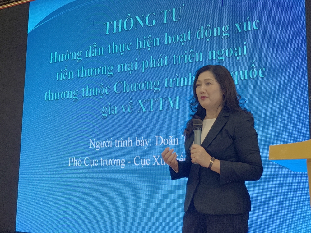 1651-da-giay