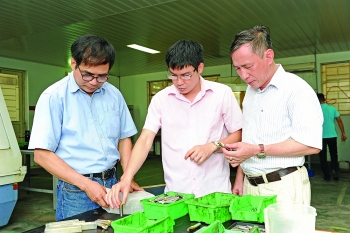 project aims at ppp boost in agricultural development