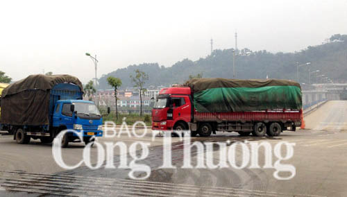 Nỗ lực cao trong thực thi TF