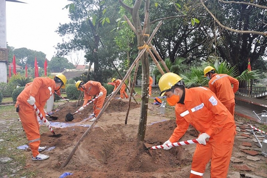 Ngành điện: Tích cực hưởng ứng Tết trồng cây