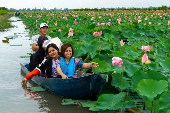 Tỉnh Đồng Tháp: Phát triển du lịch gắn với OCOP