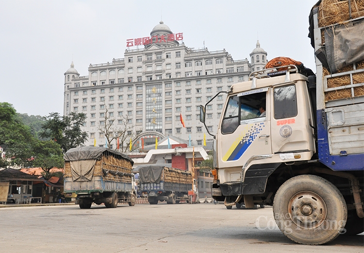 Bài 3: Quan hệ Việt Nam - Trung Quốc: Hình mẫu hợp tác của toàn cầu