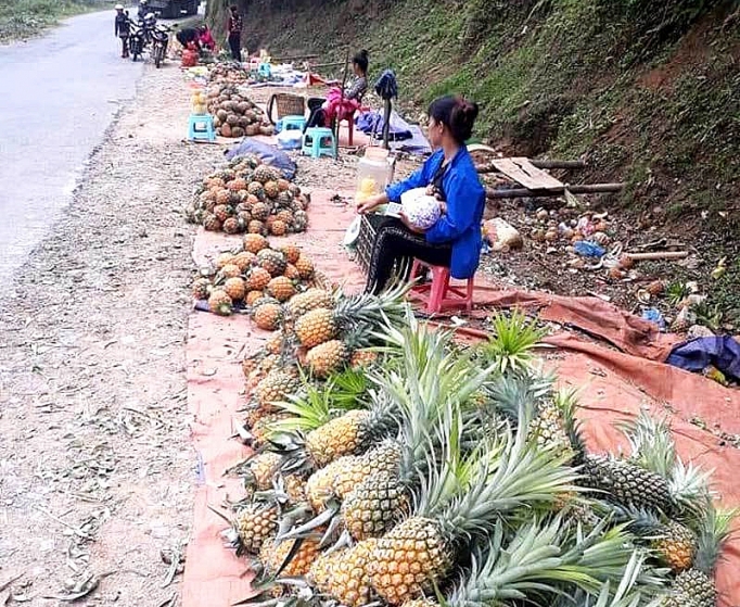 khong tu duy danh bac voi thi truong xuat khau