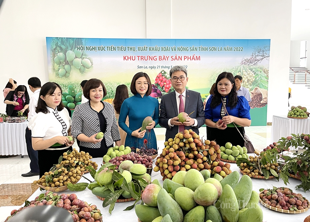 Sơn La kết nối tiêu thụ, xuất khẩu xoài và nông sản