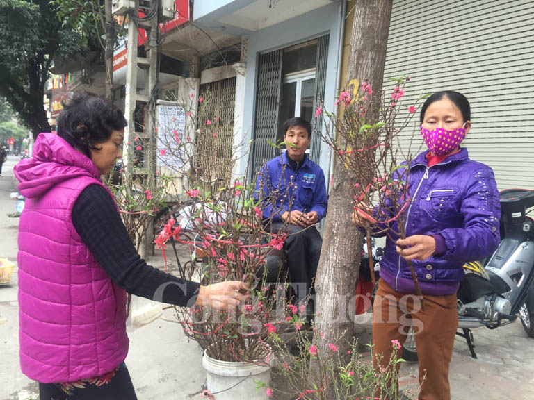 Cành đào mini, bánh chưng ngũ sắc hút khách…