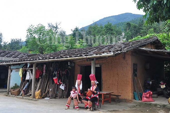 chu trong den tinh hieu luc hieu qua