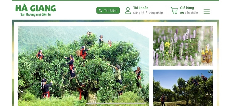 Hà Giang: Tỉnh nghèo với quyết tâm chuyển đổi số