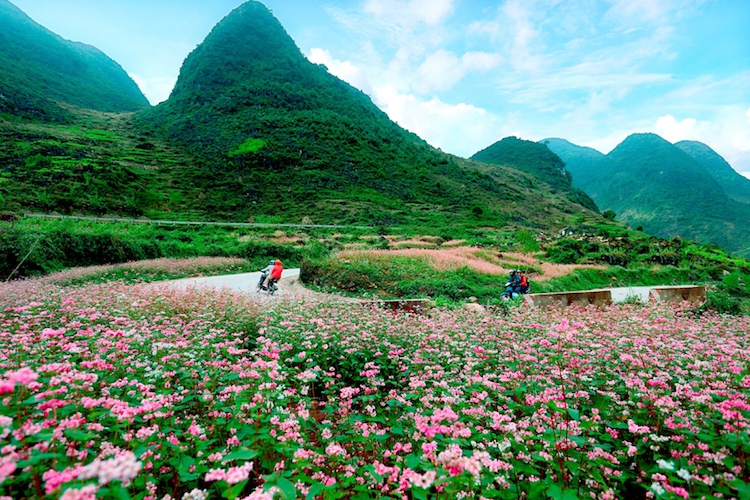 Một trong những cung đường tuyệt đẹp ở Hà Giang