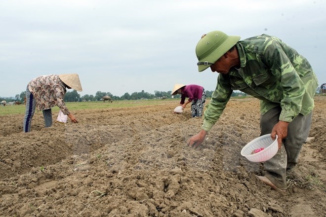 Cấp Giấy chứng nhận quyền sử dụng đất đối với diện tích đất tăng thêm