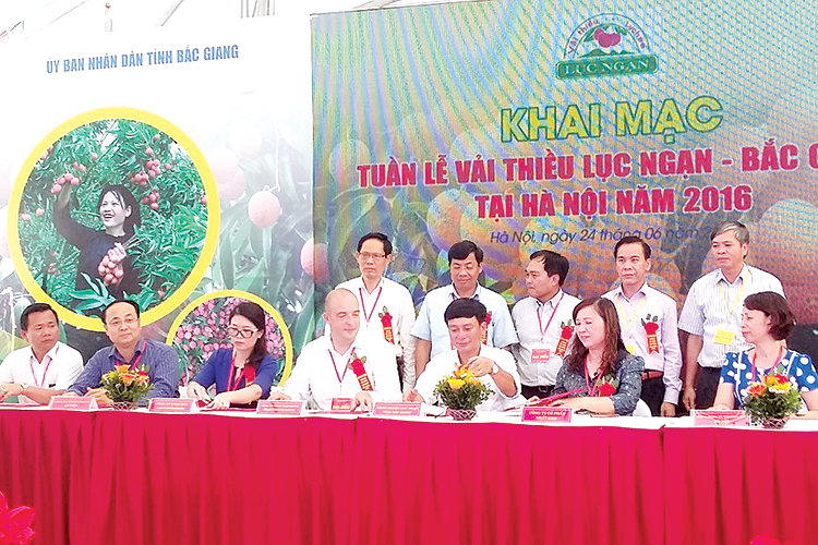 Nơi đất đồi đơm hoa kết trái